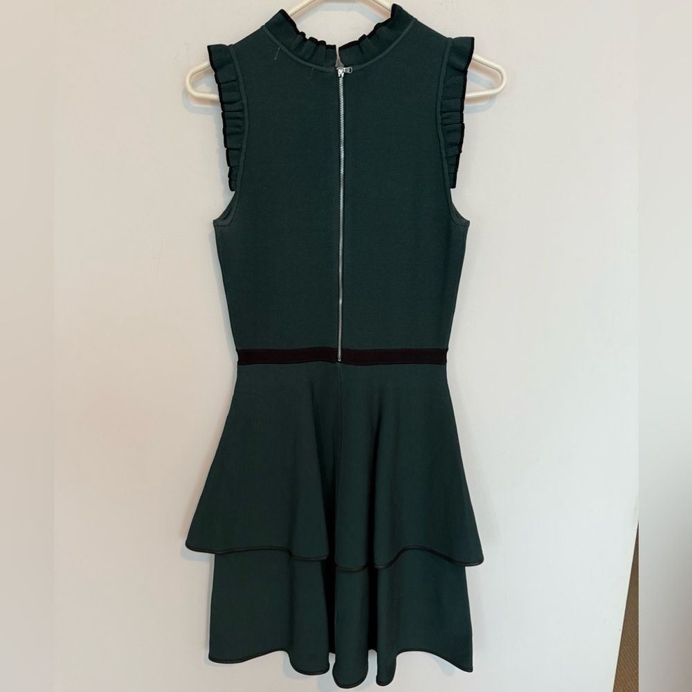 Parker Ryker Dress - Picture 9 of 10